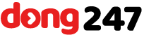 dong247-logo